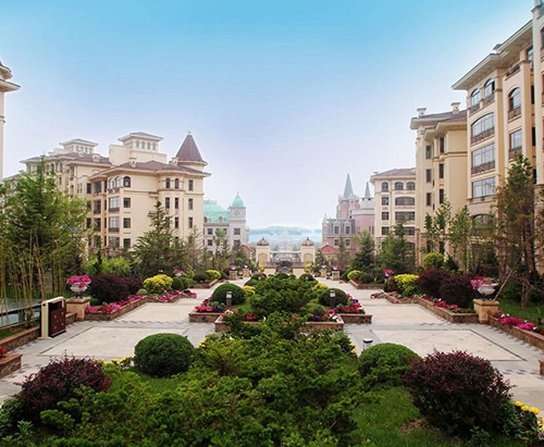 Maple Dan Li City
